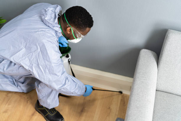 Best Real Estate Pest Inspections  in Clarkdale, AZ